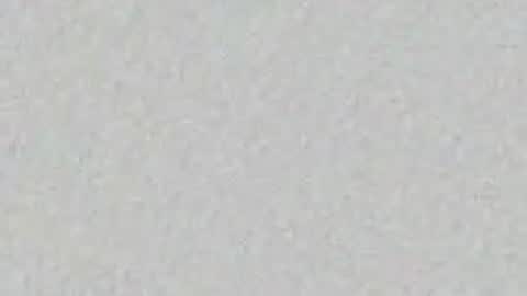 Alisse online show from April 10, 2026, 12:10 pm