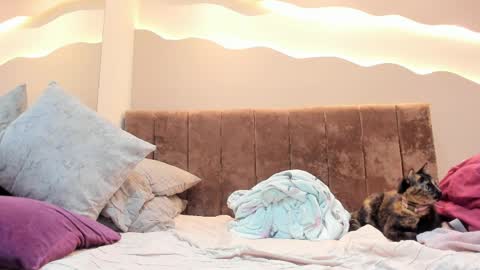 Alisson online show from April 1, 2026, 1:41 pm