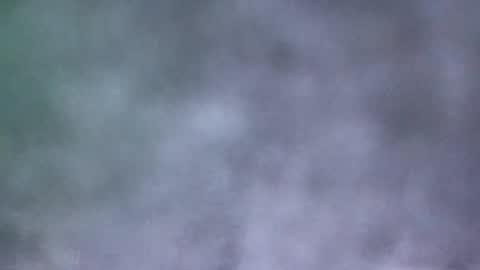Snapshot of all_most_sane chatting on May 19, 2026, 4:02 pm all_most_sane online show from May 19, 2026, 4:02 pm