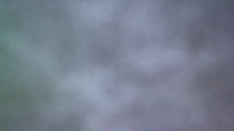 Snapshot of all_most_sane chatting on May 20, 2026, 2:45 pm all_most_sane online show from May 20, 2026, 2:45 pm