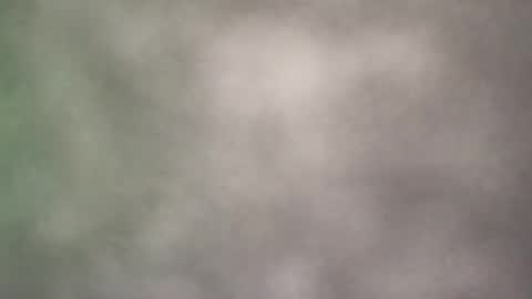 Snapshot of all_most_sane chatting on May 21, 2026, 9:11 pm all_most_sane online show from May 21, 2026, 9:11 pm