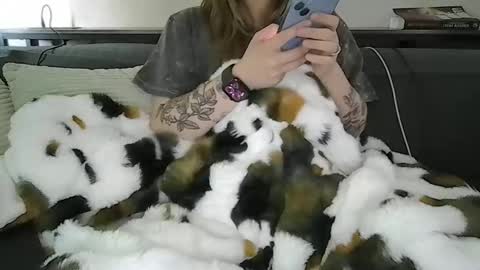 Snapshot of alliebearx chatting on April 28, 2026, 5:40 pm alliebearx online show from April 28, 2026, 5:40 pm