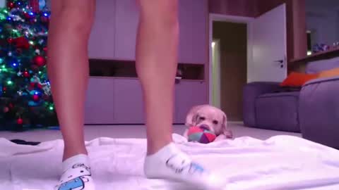 allissonhotbb online show from December 15, 2024, 7:21 pm