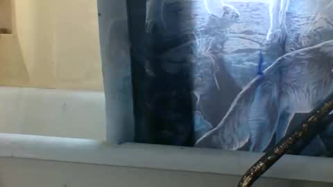 allwolf0323 online show from November 6, 2025, 3:24 pm