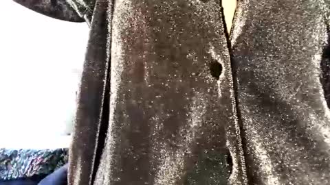 Ally Girl In Her Ally World online show from February 7, 2025, 8:20 pm