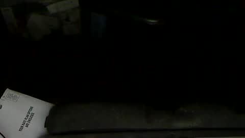 Loooopy online show from February 1, 2025, 11:58 pm