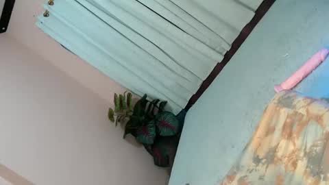 LEXY online show from February 2, 2025, 4:43 pm