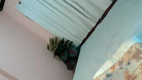 LEXY online show from February 4, 2025, 5:12 pm