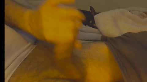 Snapshot of alphablue_wolf1295 chatting on January 2, 2025, 6:29 am alphablue_wolf1295 online show from January 2, 2025, 6:29 am