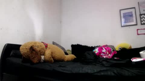 Snapshot of alynfoxx chatting on June 24, 2026, 6:51 pm Alyn Maria online show from June 24, 2026, 6:51 pm