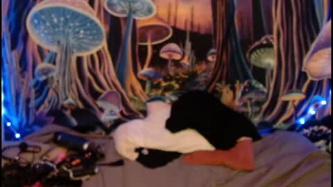 Snapshot of alyssaarcane chatting on May 28, 2026, 9:34 pm alyssaarcane online show from May 28, 2026, 9:34 pm