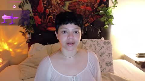         online show from September 20, 2025, 11:33 am