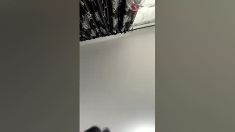 Anda online show from December 14, 2025, 11:04 am