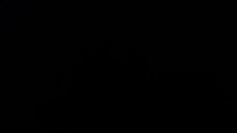 Amarantha online show from January 10, 2025, 1:09 pm