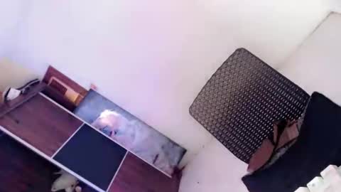 Snapshot of amayafucks1 chatting on October 8, 2025, 2:20 am Amaya online show from October 8, 2025, 2:20 am