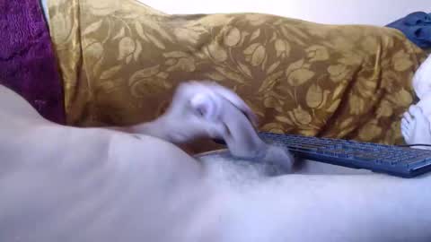 Snapshot of amazingcuteboy845 chatting on May 19, 2026, 1:39 pm amazingcuteboy845 online show from May 19, 2026, 1:39 pm