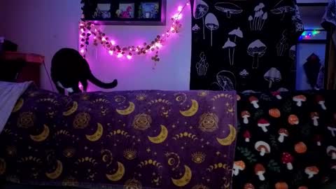 amburlicious online show from February 22, 2026, 4:02 am