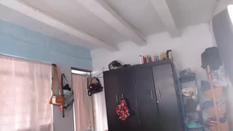 amelia  online show from December 8, 2024, 1:03 pm