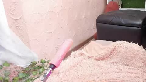 amelialu1 online show from May 21, 2026, 7:37 am