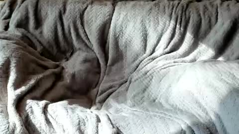 Olive  Walter online show from October 24, 2025, 5:42 pm