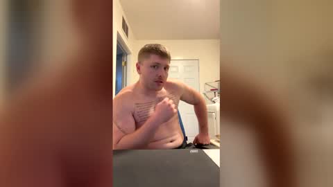 americanstalion online show from May 19, 2026, 5:58 am