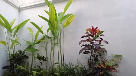 girl next door named Amy online show from March 2, 2025, 10:35 am