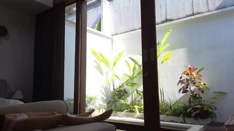 girl next door named Amy online show from March 3, 2025, 7:54 am