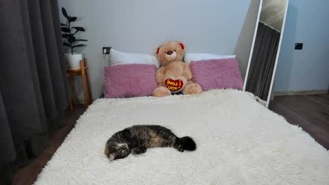 amymilson online show from December 20, 2024, 3:21 pm