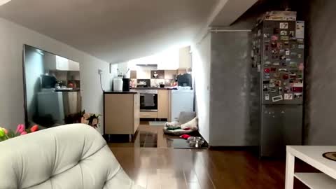 amyroberta92 online show from February 25, 2026, 8:13 am