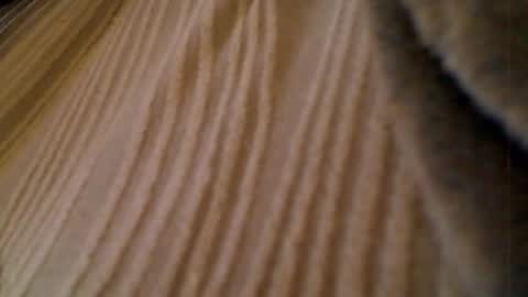 anaiserebel online show from January 15, 2026, 7:02 am