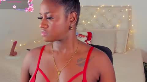 A N A  my connection hours are from 600 pm to 12 pm Colombian time online show from December 14, 2024, 3:18 am