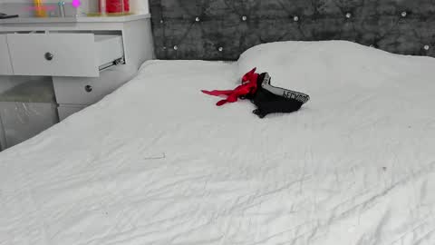  ANASTASIA DANGER  online show from January 1, 2025, 4:18 pm