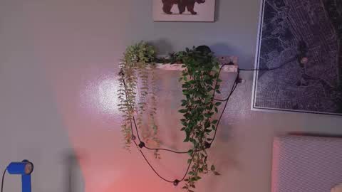 Snapshot of anavicc__ chatting on February 20, 2026, 10:16 am Kendra online show from February 20, 2026, 10:16 am