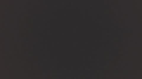   online show from November 19, 2025, 11:21 am