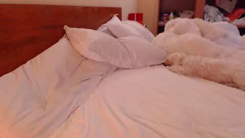 Snapshot of andrasweetie chatting on March 9, 2025, 1:59 pm Andra online show from March 9, 2025, 1:59 pm