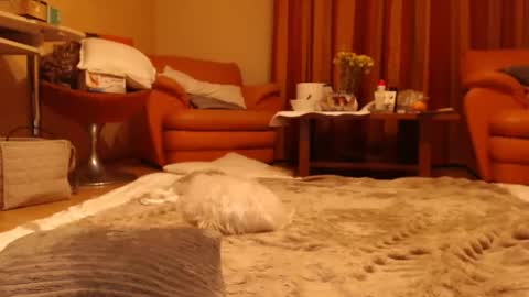 Snapshot of andrasweetie chatting on June 1, 2026, 8:54 pm Andra online show from June 1, 2026, 8:54 pm