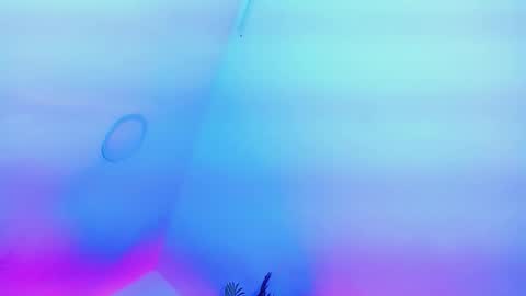 ANDREINA online show from February 13, 2026, 8:38 pm