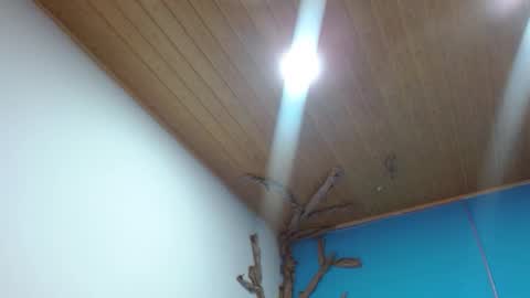 Andre online show from February 3, 2026, 2:53 am