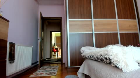 Angelina online show from January 20, 2025, 11:45 am