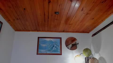 Angel Fox online show from February 6, 2025, 10:15 am