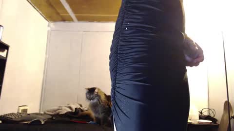 Ani online show from March 10, 2025, 10:26 am