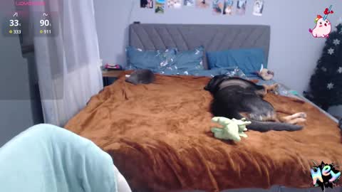 Anadirectgirl online show from January 8, 2025, 6:41 pm