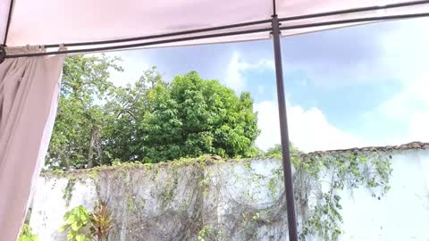 Snapshot of anna_joness chatting on December 7, 2024, 4:25 pm Anna online show from December 7, 2024, 4:25 pm