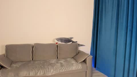 anna miuu online show from December 5, 2024, 5:37 am