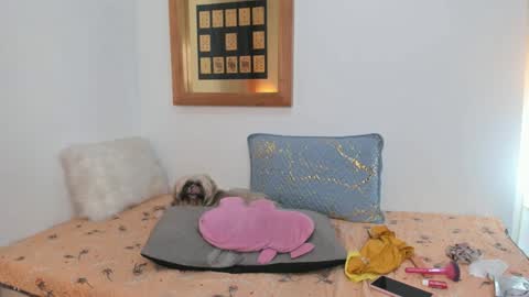 anna online show from February 26, 2025, 5:07 pm