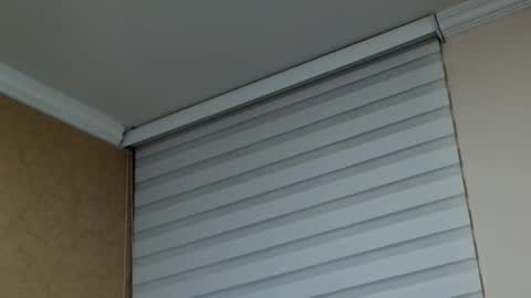       online show from February 10, 2026, 1:53 am