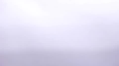 Annie online show from February 2, 2025, 7:04 pm