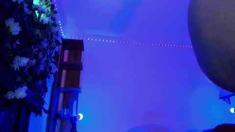 Snapshot of anny_kiitty_ chatting on January 31, 2026, 7:11 pm Anny online show from January 31, 2026, 7:11 pm