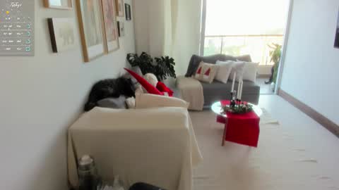 Anny online show from November 9, 2025, 9:46 pm