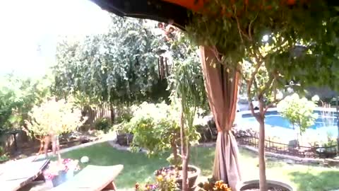 Snapshot of anoaklawnguy chatting on July 26, 2026, 3:30 pm anoaklawnguy online show from July 26, 2026, 3:30 pm
